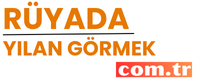 ruyadayilan.com.tr